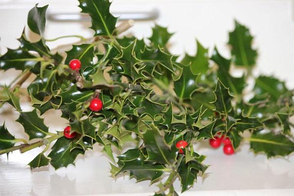 1. The Steeple Aston WI Xmas party.jpg